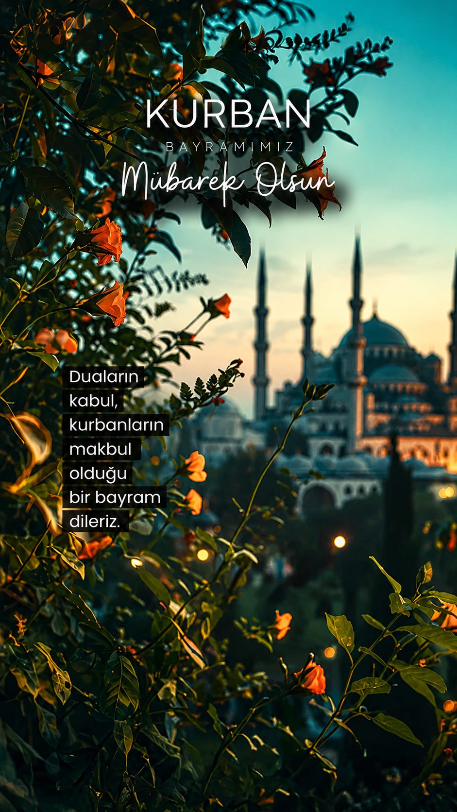 Ömer story tasarımı